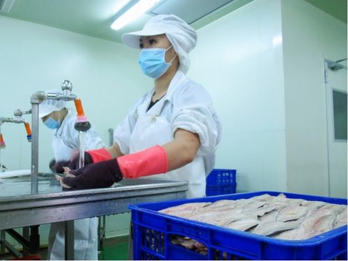 台湾鱼之达人食品加工厂年底前完成导入RFID技术进行生产管理