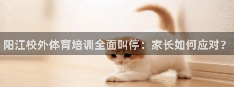 焦点娱乐力 411o31 焦点：阳江校外体育培训全面