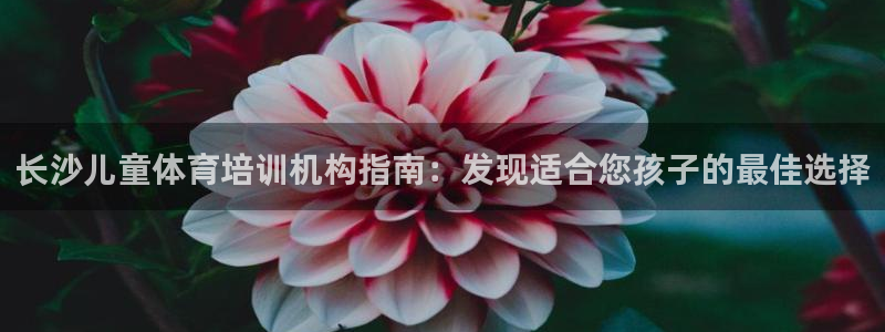 焦点娱乐传媒有限公司怎么样呀：长沙儿童体育培训机构指