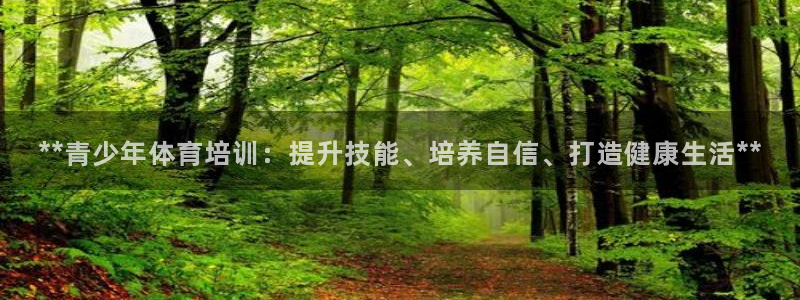 焦点娱乐负责人