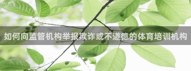 焦点娱乐议 411o31 娱乐
