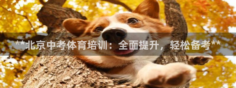 焦点娱乐软件版本下载