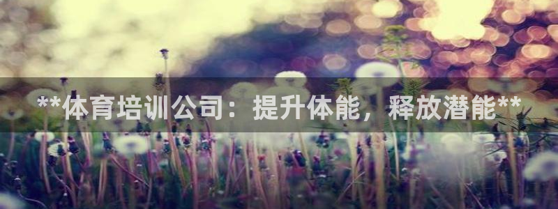 焦点娱乐官方网站入口下载安装：**体育培训公司：提升