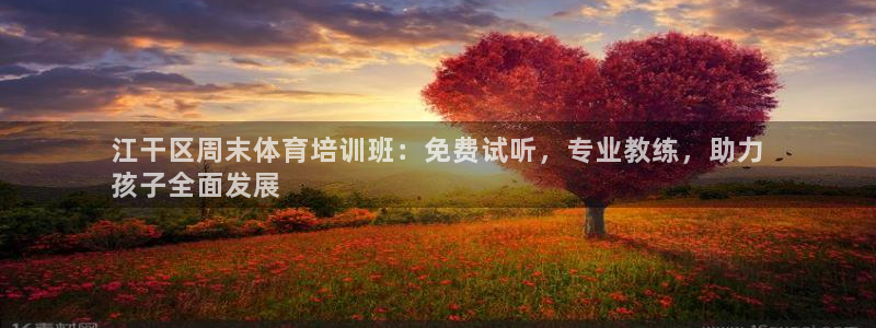 焦点娱乐平台业7O777：江干区周末体育培训班：免费