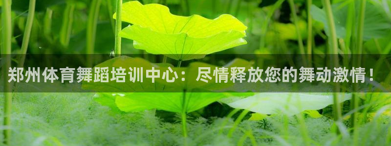 焦点娱乐游戏怎么玩：郑州体育舞蹈培训中心：尽情释放您