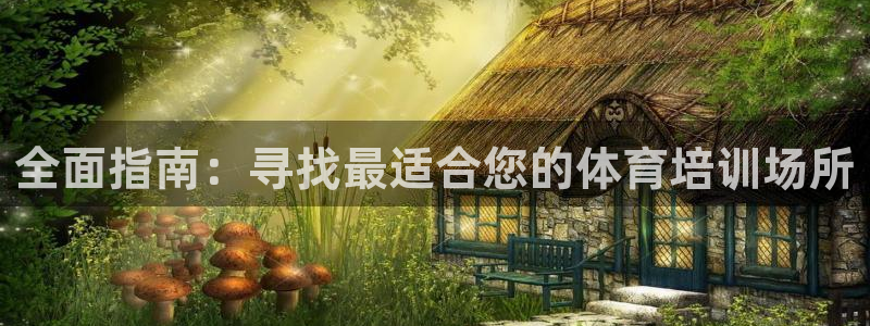 焦点娱乐公司简介怎么写