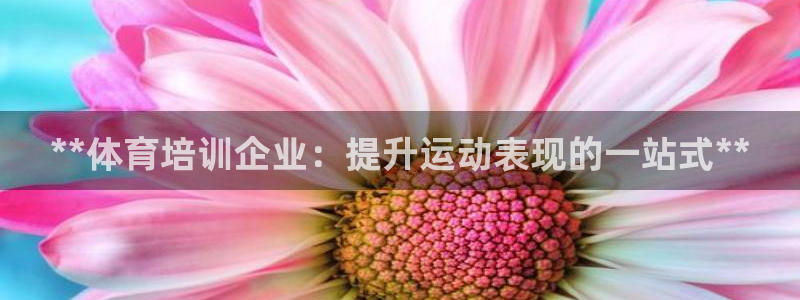 焦点娱乐官方网站首页入口在线观看：**体育培训企业：