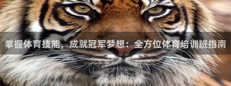 焦点娱乐官方网站首页入口下载：掌握体育技能，成就冠军