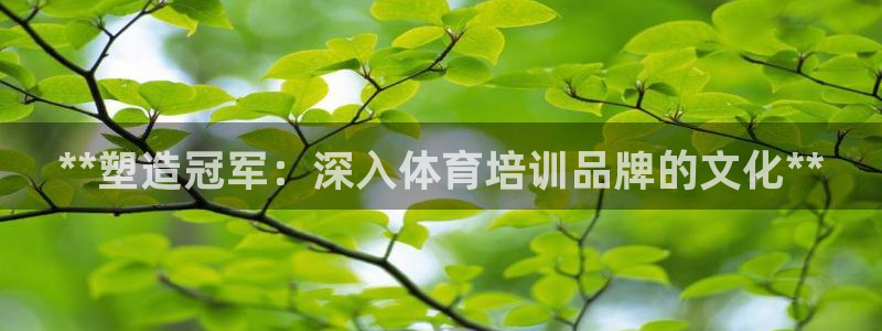 焦点娱乐加速器下载：**塑造冠军：深入体育培训品牌的