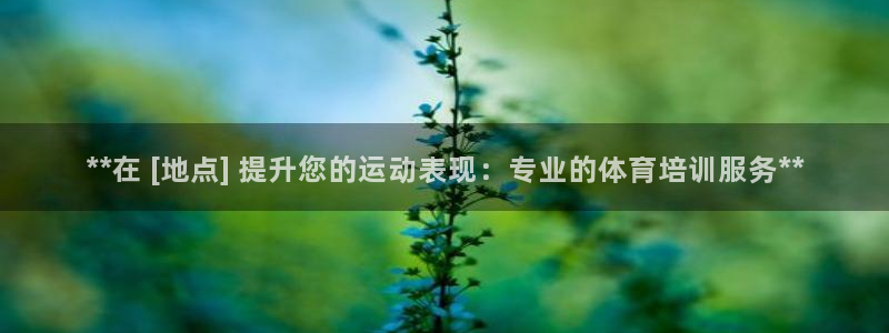 焦点娱乐门徒娱乐骗局：**在 [地点] 提升您的运动