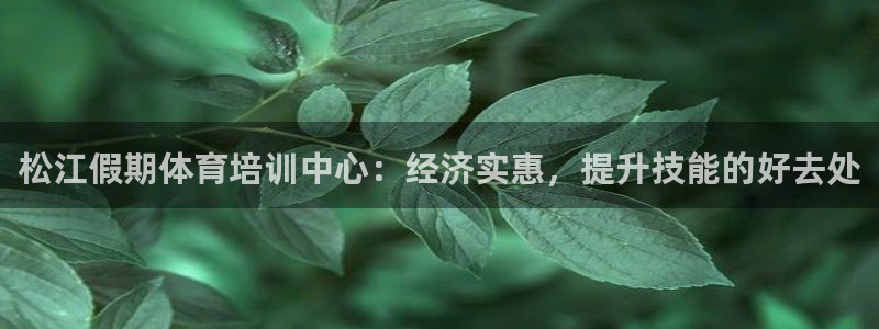 焦点娱乐官方网站下载手机版安装：松江假期体育培训中心