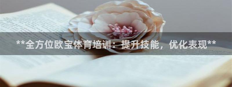 焦点娱乐公司的发展历程是什么：**全方位欧宝体育培训