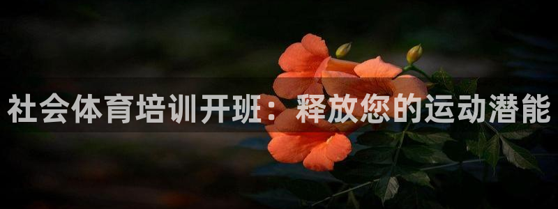 焦点娱乐传媒有限公司是干嘛的啊：社会体育培训开班：释