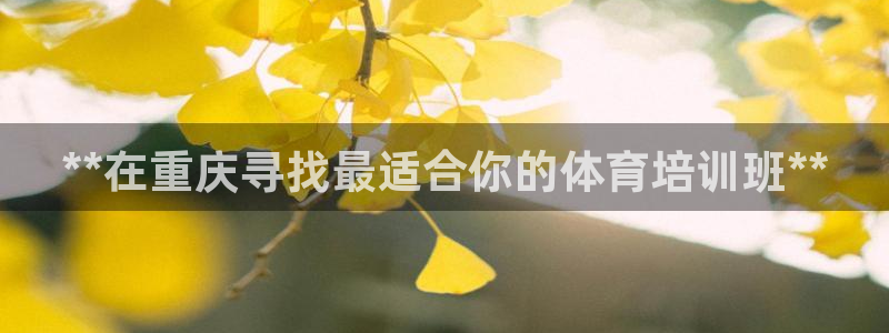 焦点娱乐官方网站首页入口：**在重庆寻找最适合你的体