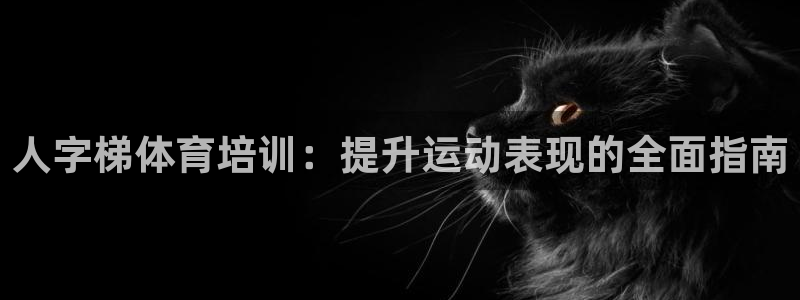 焦点娱乐全国总冠军有哪些：人字梯体育培训：提升运动表