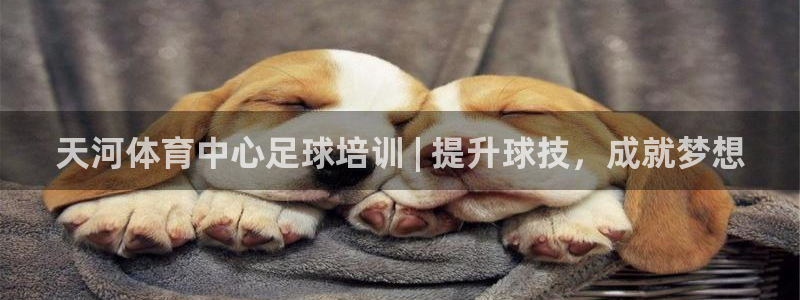 焦点娱乐如何注册账号和密码呢：天河体育中心足球培训 