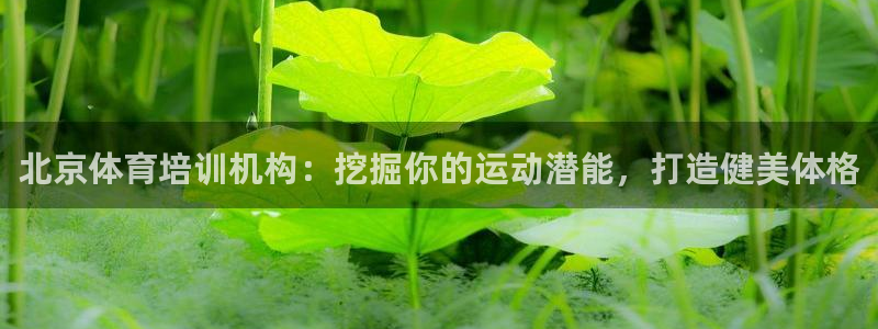焦点娱乐拉菲11月11日：北京体育培训机构：挖掘你的