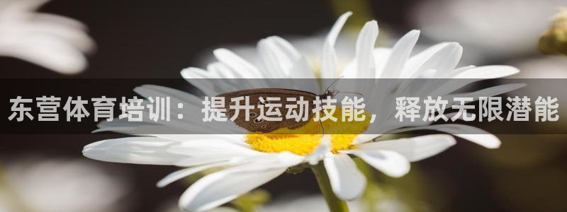 焦点娱乐游戏：东营体育培训：提升运动技能，释放无限潜