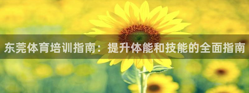 焦点娱乐平台怎么样：东莞体育培训指南：提升体能和技能