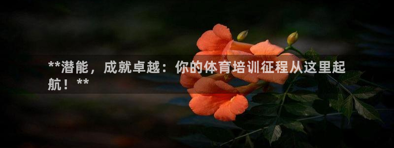 焦点娱乐官方网站首页入口下载：**潜能，成就卓越：你