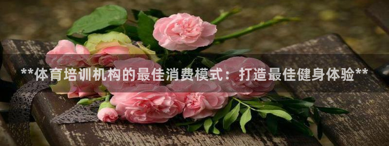 焦点娱乐官方网站下载手机版：**体育培训机构的最佳消