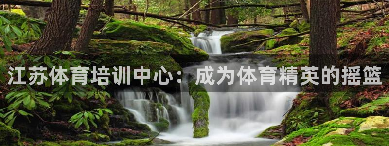 焦点娱乐黑平台曝光：江苏体育培训中心：成为体育精英的