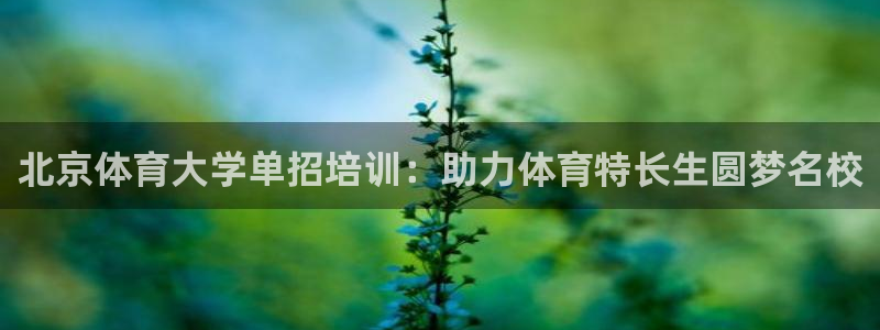 焦点娱乐跨服怎么玩：北京体育大学单招培训：助力体育特