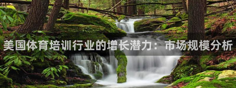 焦点娱乐拉菲11：美国体育培训行业的增长潜力：市场规模分析