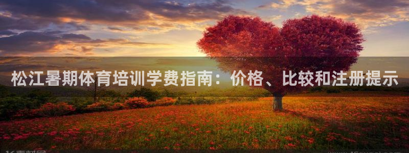 焦点娱乐挂机：松江暑期体育培训学费指南：价格、比较和
