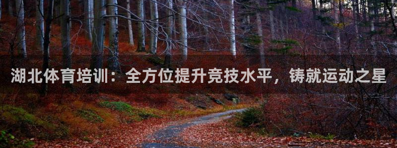 焦点娱乐游戏怎么玩视频：湖北体育培训：全方位提升竞技