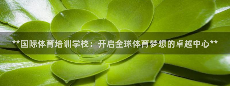 焦点娱乐app下载官网苹果手机