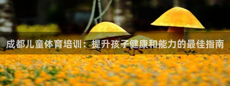 焦点娱乐官网下载安装最新版手机