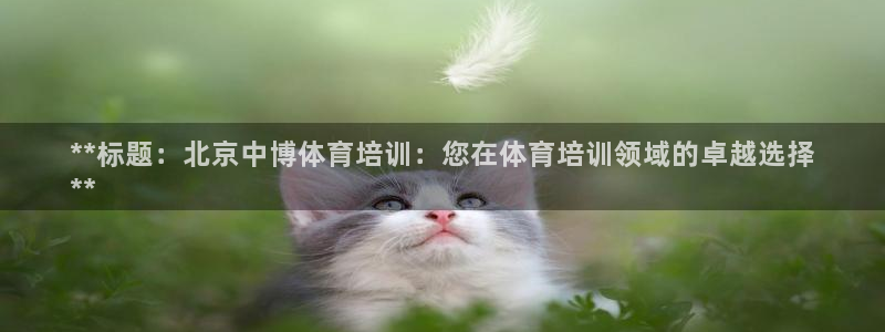 焦点娱乐传媒有限公司