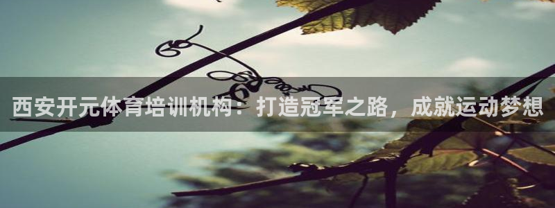 焦点娱乐传媒有限公司怎么样啊赚钱吗：西安开元体育培训