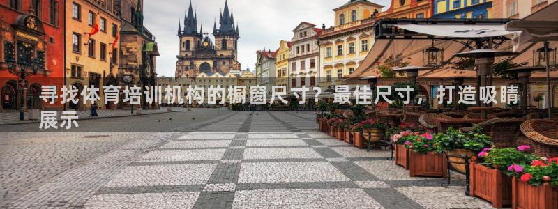 焦点娱乐app下载官网苹果：寻找体育培训机构的橱窗尺