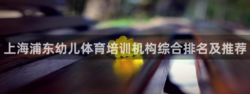 焦点娱乐公司简介：上海浦东幼儿体育培训机构综合排名及