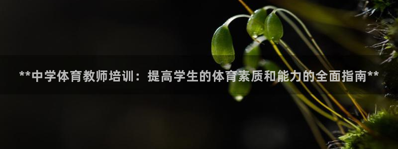 焦点娱乐拉菲11月9日：**中学体育教师培训：提高学