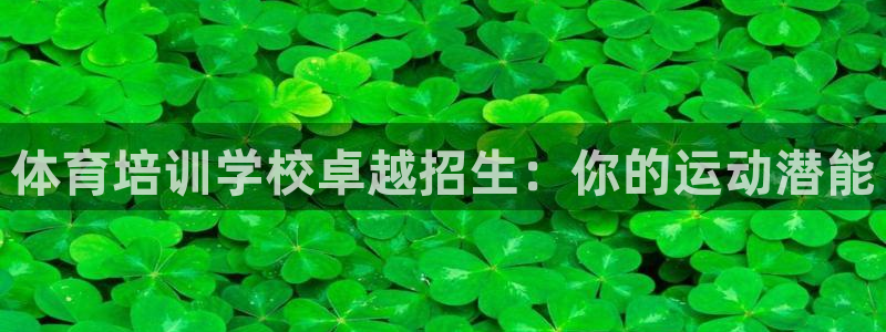 焦点娱乐app下载安装方式：体育培训学校卓越招生：你