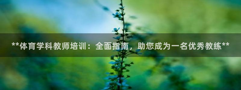 焦点娱乐平台登录不了