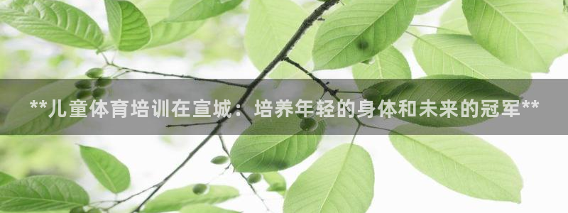 焦点娱乐平台登录不了了