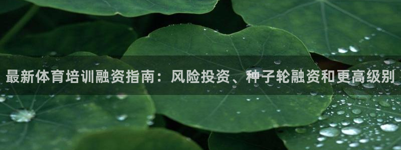 焦点娱乐星的视频