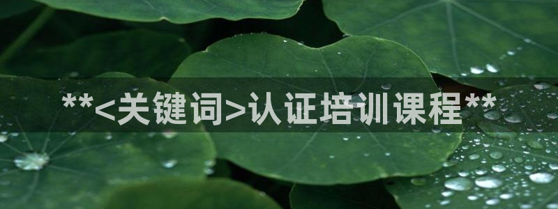 焦点娱乐官方网站入口在线观看视频