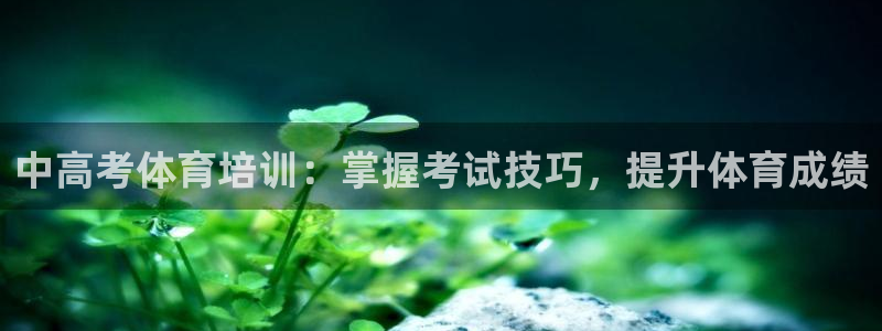 焦点娱乐vs皇族不败神话小说：中高考体育培训：掌握考试技巧，