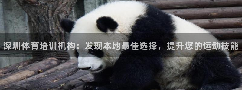 焦点娱乐如何注册账号登录：深圳体育培训机构：发现本地