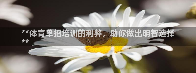 焦点娱乐门徒娱乐骗局：**体育单招培训的利弊，助你做出明智选