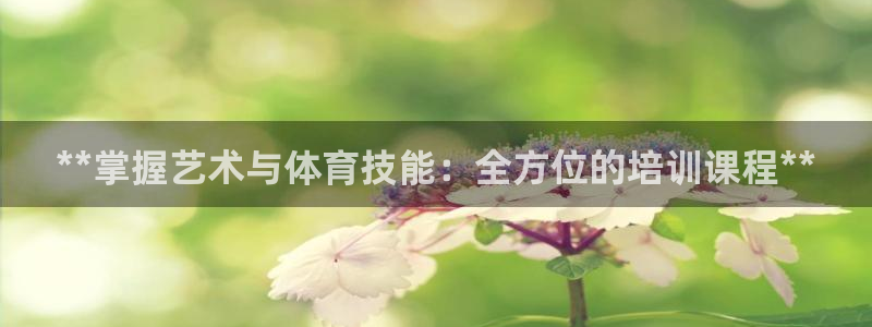 焦点娱乐软件版本大全：**掌握艺术与体育技能：全方位