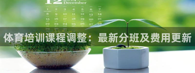 焦点娱乐开发商是谁：体育培训课程调整：最新分班及费用更新