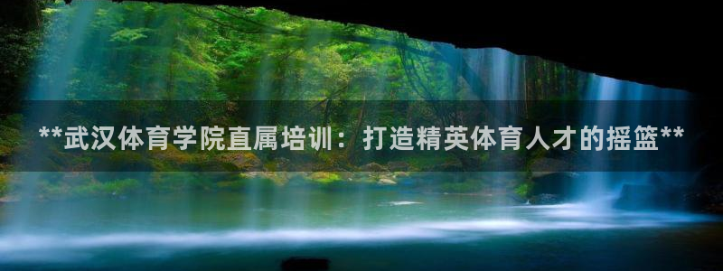 焦点娱乐公司：**武汉体育学院直属培训：打造精英体育人才的摇