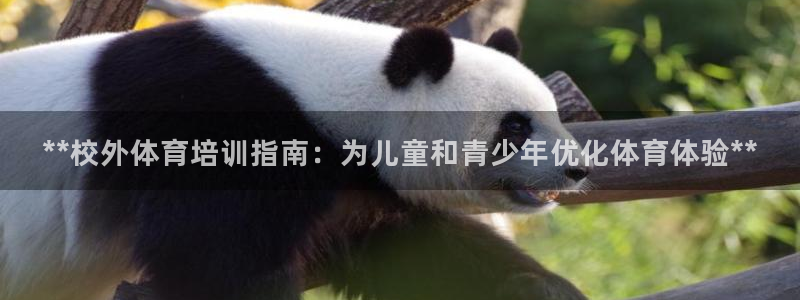 焦点娱乐官网首页：**校外体育培训指南：为儿童和青少