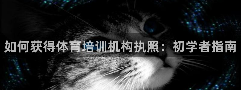 焦点娱乐传媒有限公司怎么样啊知乎